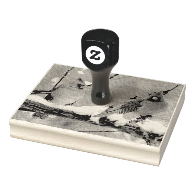 Tampons Encreurs cardinaux hommes et femmes (Tampon)