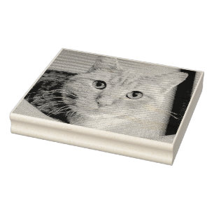Tampons Encreurs Cat
