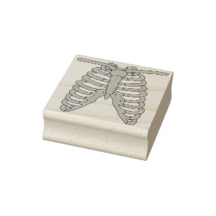 Tampons Encreurs Cotes de squelette 2 illustrations