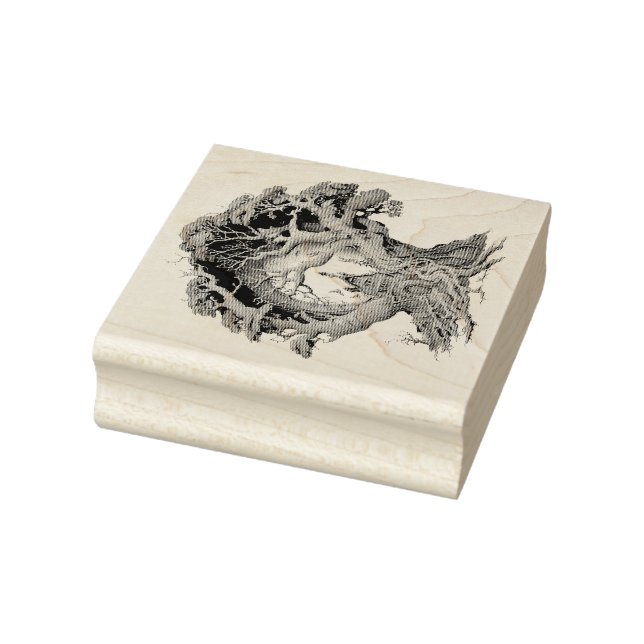 Tampons Encreurs Créez votre propre maison d'arbre généalogique 3D  (Tampon)