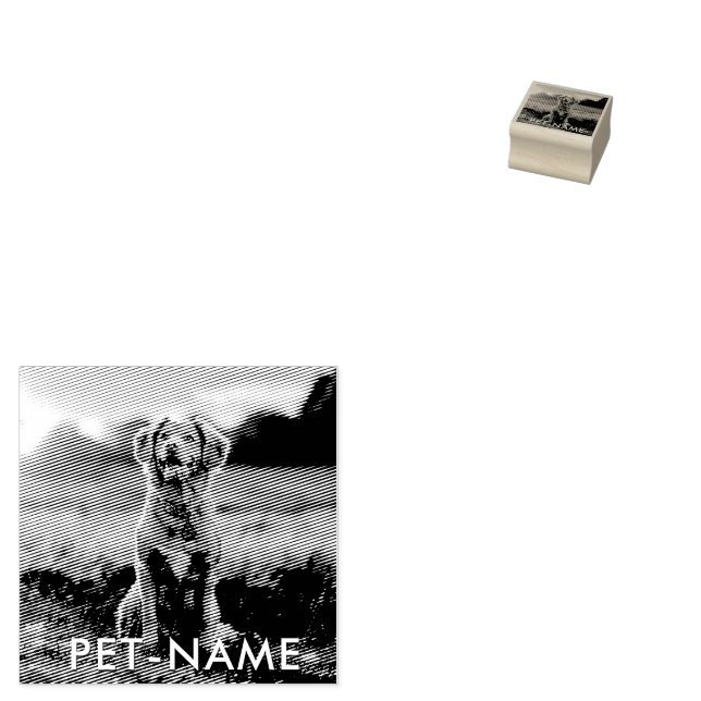 Tampons Encreurs Custom Photo With Your Pet Dog Name Picture On (Tamponné)
