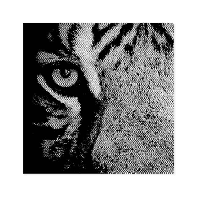 Tampons Encreurs Dans l'oeil d'un tigre (Impression)