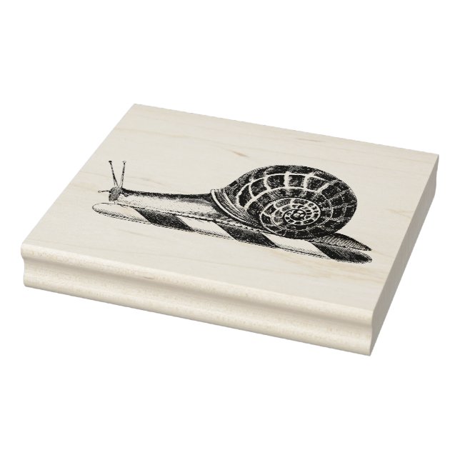 Tampons Encreurs Dessin Vintage d'Escargot (Tampon)