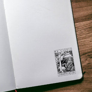 Tampons Encreurs Dragon Antique Ex Libris Bibliothèque Livre person
