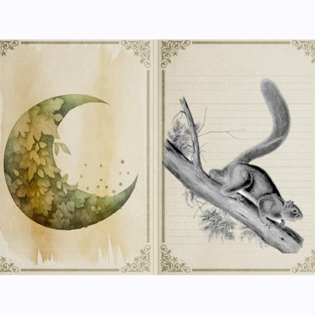 Tampons Encreurs Écureuil Animaux sauvages Illustration Vintage (Créateur téléchargé)