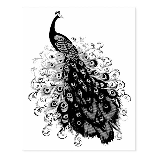 Tampons Encreurs Elégant Peacock avec Queue détaillée (Impression)