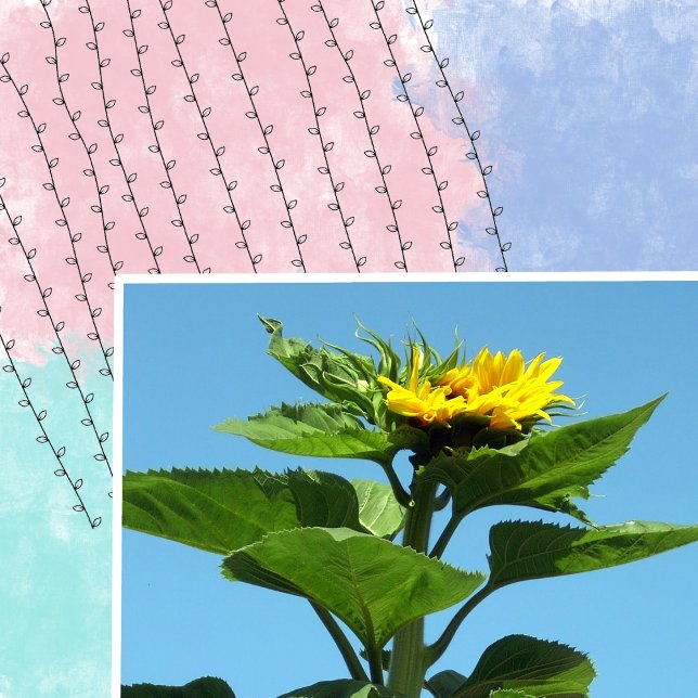 Tampons Encreurs Escalade Feuille Plante Scrapbooking Timbre d'art  (Créateur téléchargé)