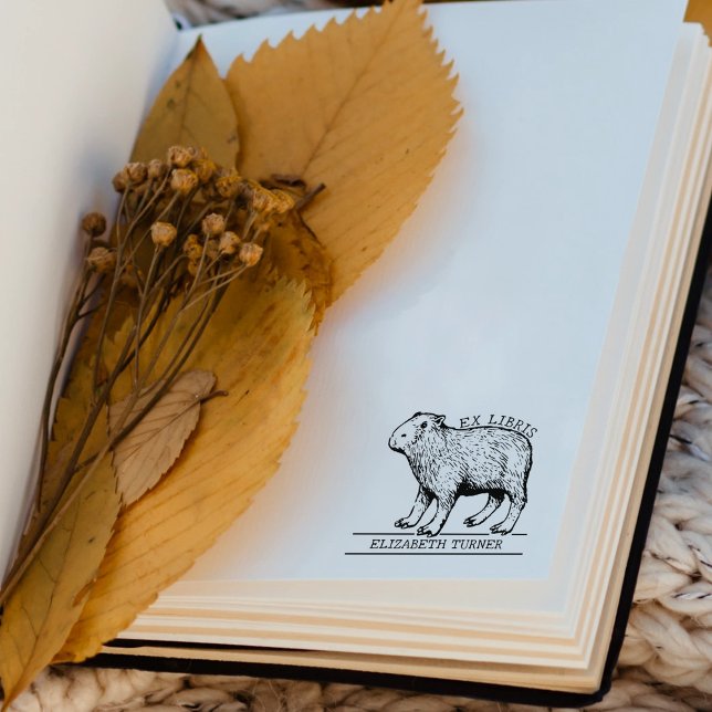 Tampons Encreurs Ex Libris de capybara mignon pour livre  (Créateur téléchargé)
