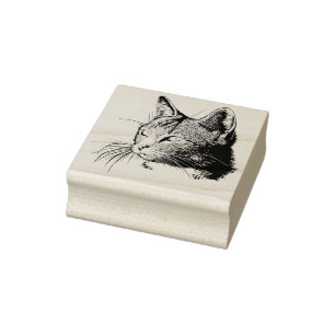 Tampons Encreurs Face de chat