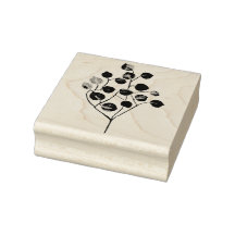 Feuilles de l'eucalyptus