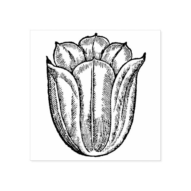 Tampons Encreurs Fleur de tulipe Rouge Floral Botanique Hollande (Impression)