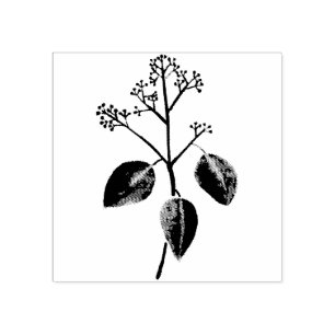 Tampons Encreurs Fleur d'Eucalyptus