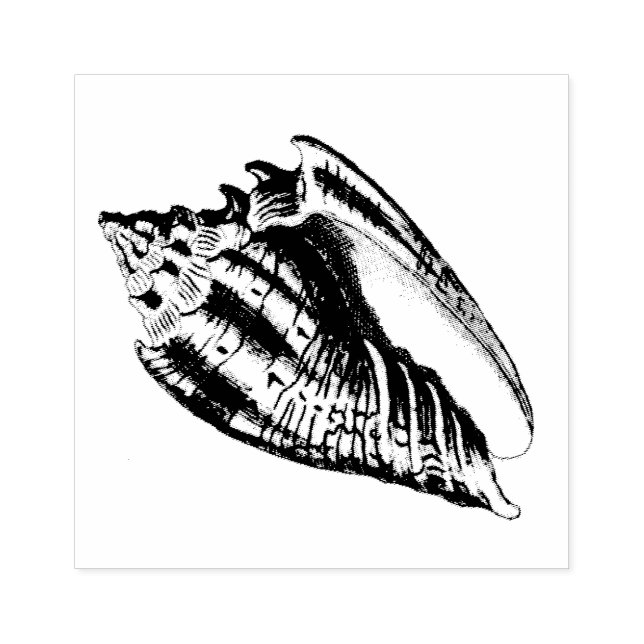 Tampons Encreurs Illustration Conch Shell (Impression)