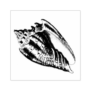 Tampons Encreurs Illustration de coquille de conque