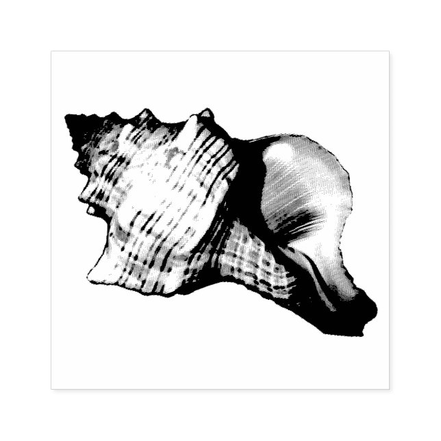 Tampons Encreurs Illustration Vintage Conch Shell (Impression)