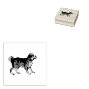 Tampons Encreurs Illustration Vintage du chien mignon