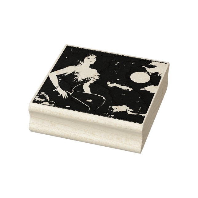 Tampons Encreurs La nuit sur un toit de Paris (Tampon)