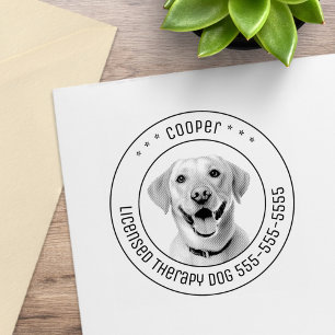 Tampons Encreurs Labrador Retriever Chien Animaux de compagnie Phot