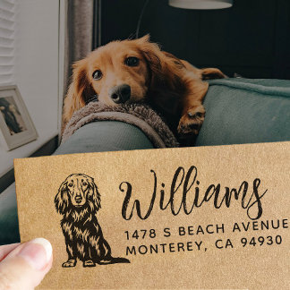 Tampons Encreurs Long Haired Dachshund Owner Return Address Dog