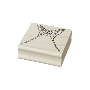 Tampons Encreurs Luna Moth Jaune Orange Cuisine Magique Insecte