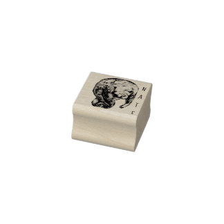 Tampons Encreurs Manatee aigu