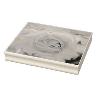 Tampons Encreurs Marche de chat