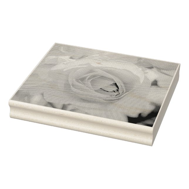 Tampons Encreurs Marche de chat (Tampon)