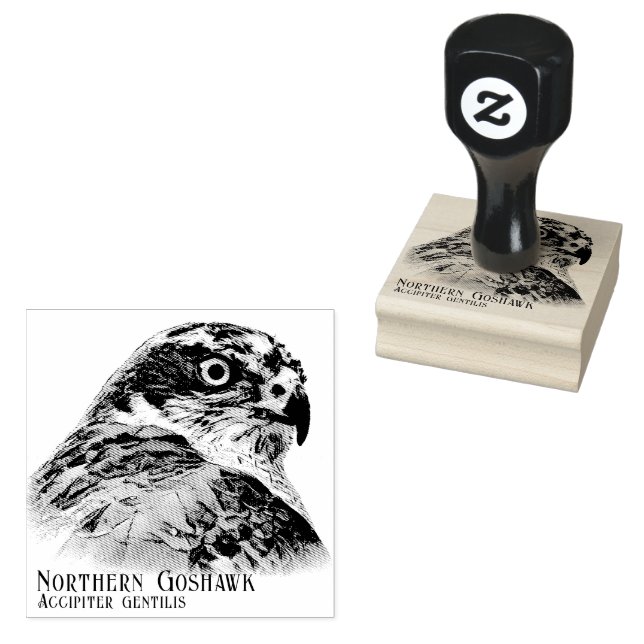 Tampons Encreurs Northern Goshawk (Tamponné)