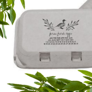 Tampons Encreurs OEufs frais de ferme OEuf de canard Timbre de cart