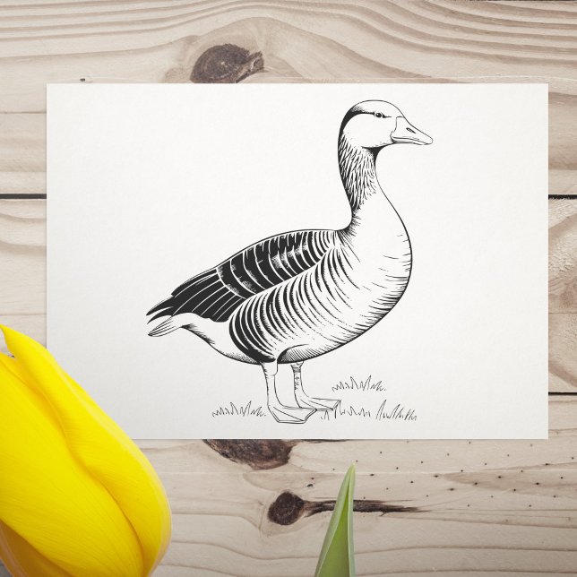 Tampons Encreurs Oie (Goose Rubber Stamp)