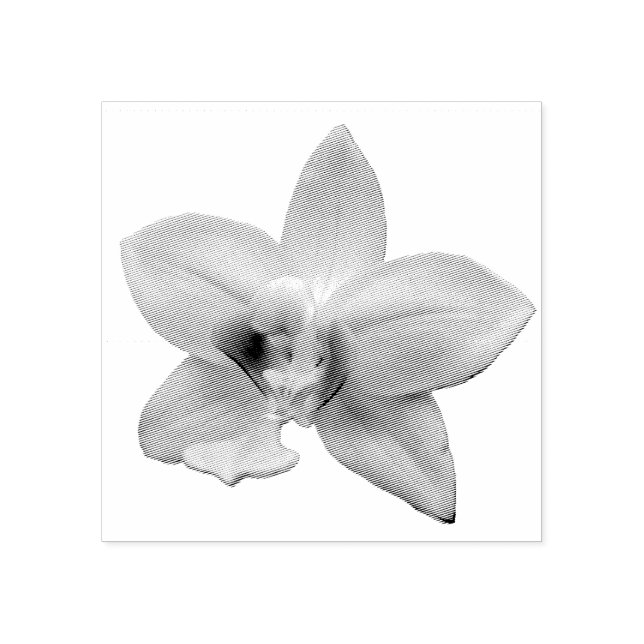 Tampons Encreurs Orchidée sauvage violette fleur tropicale (Impression)