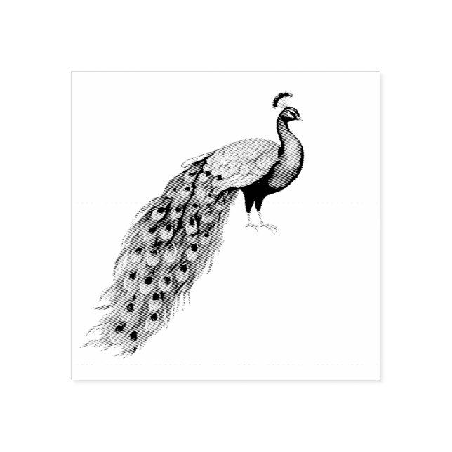 Tampons Encreurs Peacock moderne et tendance (Impression)