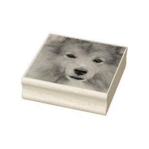 Tampons Encreurs Photo personnalisée