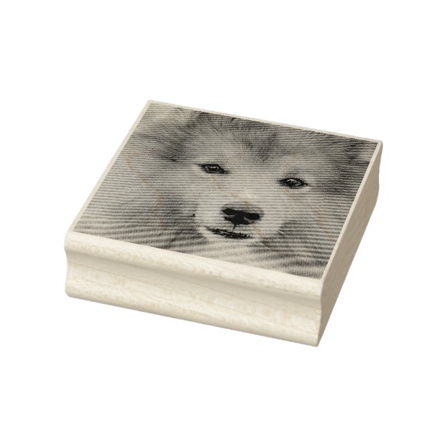 Tampons Encreurs Photo personnalisée (Tampon)