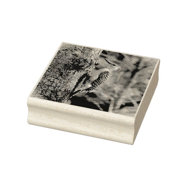 Tampons Encreurs Pic à ventre rouge (Tampon)