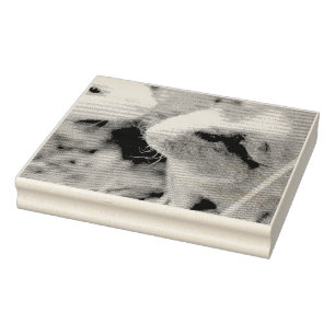 Tampons Encreurs Piggy