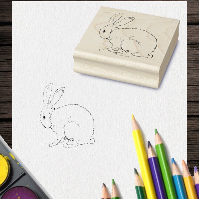 Tampons Encreurs Plan du lapin de lapin mou assis (Outline drawing of fuzzy sitting bunny rabbit on rubber craft stamp.)