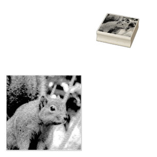 Tampons Encreurs Portrait d'un écureuil Nature Animal Photographie