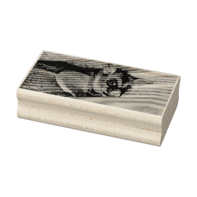 TAMPONS ENCREURS POSSUME QUÉENSLAND AUSTRALIE (Tampon)