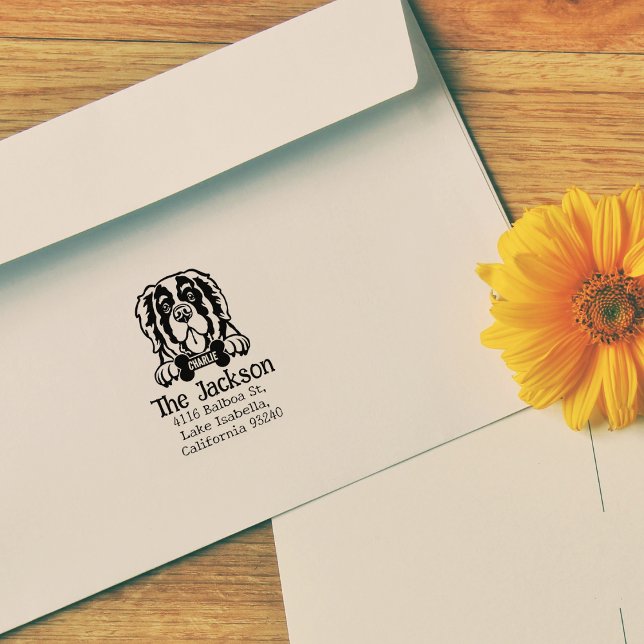 Tampons Encreurs Saint Bernard Dog, Adresse de retour personnalisée (Créateur téléchargé)