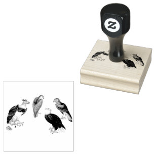 Tampons Encreurs Scrapbooking Mixte Eagles Birds