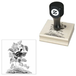 Tampons Encreurs Scrapbooking Vintage de framboise Wren