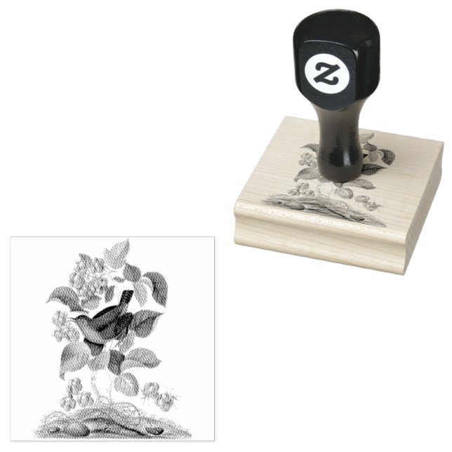 Tampons Encreurs Scrapbooking Vintage de framboise Wren (Tamponné)