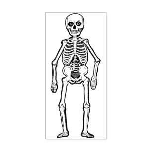 Tampons Encreurs Skeleton d'Halloween allemand Vintage