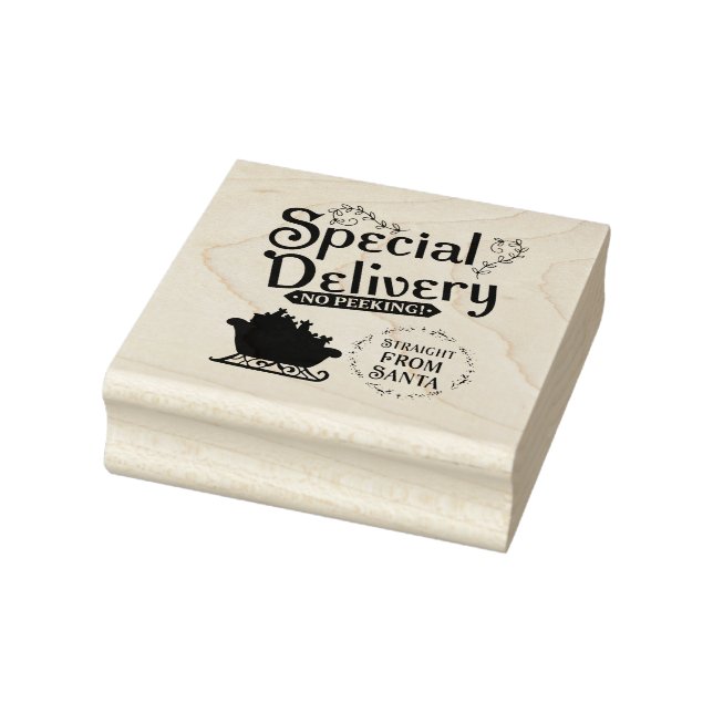 Tampons Encreurs Special Delivery Straight from Santa (Tampon)