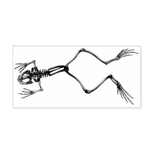 Tampons Encreurs Squelette de grenouille