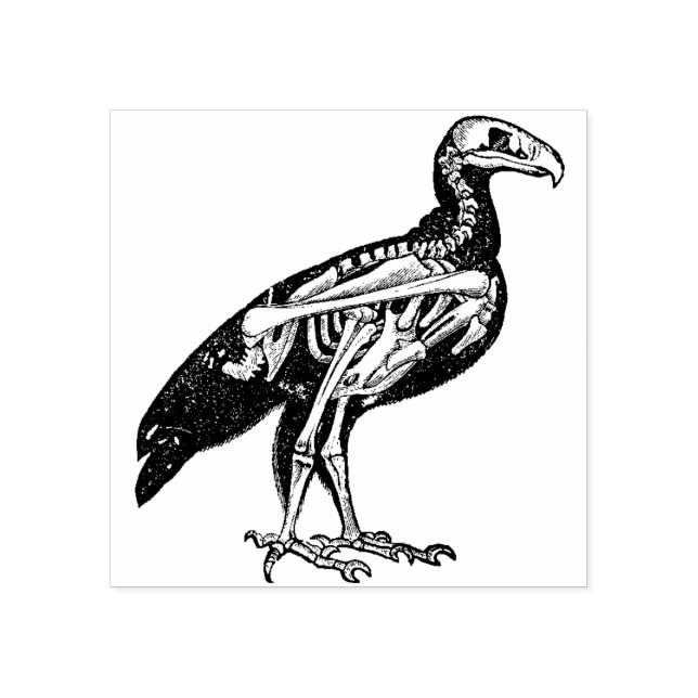 Tampons Encreurs Squelette d'un oiseau (Impression)