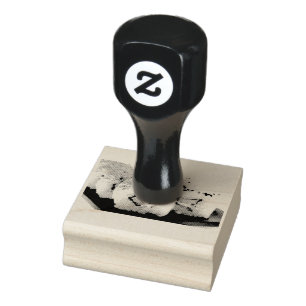 Tampons Encreurs Sushi