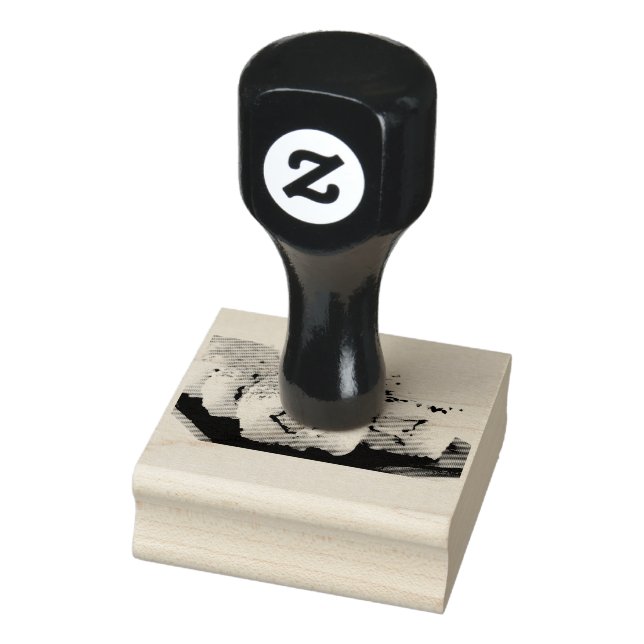 Tampons Encreurs Sushi (Tampon)