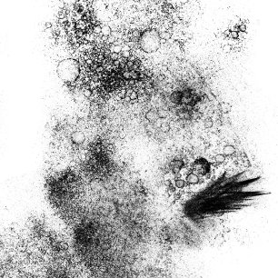 Tampons Encreurs Timbre d'art en bois